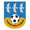 https://img.hyjsd.com/img/football/team/259a1106a33b56d2bb3c458a62ffa2ea.png