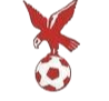 https://img.hyjsd.com/img/football/team/4802d26df935b78bb2fcdbbff36e8864.png