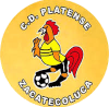 https://img.hyjsd.com/img/football/team/63b0933cc303927659846a4ed54b1522.png