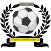 https://img.hyjsd.com/img/football/team/6dc6d59af2f0962597b412473a6708ee.png