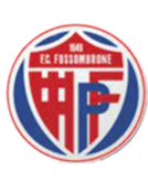 https://img.hyjsd.com/img/football/team/716538f8ce647982665ad98c59e7f663.png