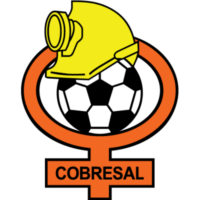 https://img.hyjsd.com/img/football/team/a5e650365ee5c40efb649bf12015eb6d.png