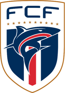 https://img.hyjsd.com/img/football/team/b78fbb9123ed9633ac77215960a8a7b3.png